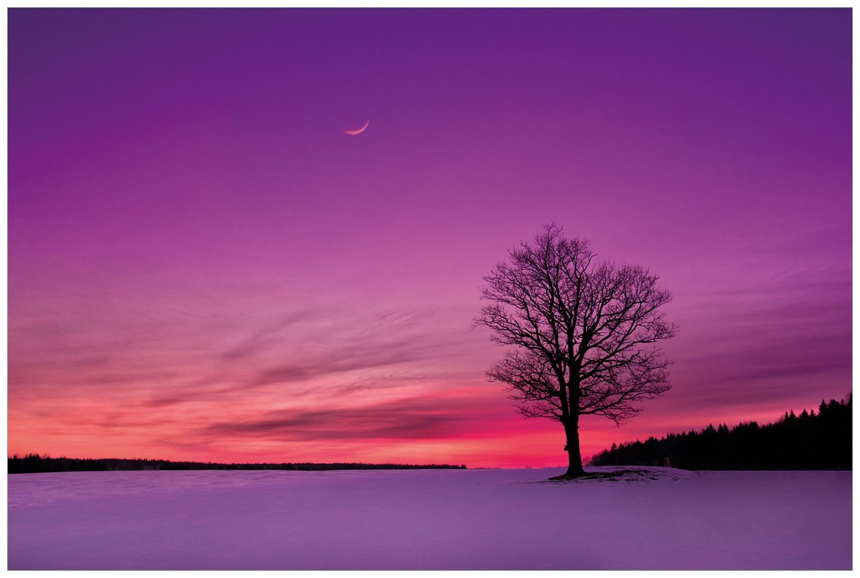 Wallario Acrylglasbild, Mond und Baum am Abend bei Schnee, in verschiedenen Ausführungen von Wallario