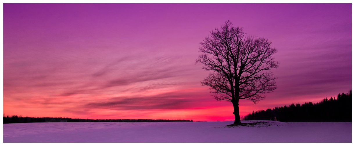 Wallario Acrylglasbild, Mond und Baum am Abend bei Schnee, in verschiedenen Ausführungen von Wallario