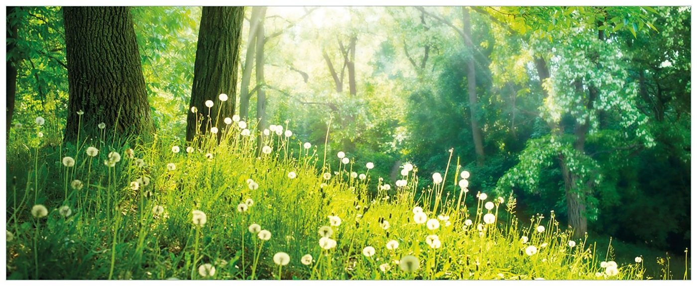 Wallario Acrylglasbild, Pusteblumen im Wald mit einfallenden Sonnenstrahlen, in verschiedenen Ausführungen von Wallario