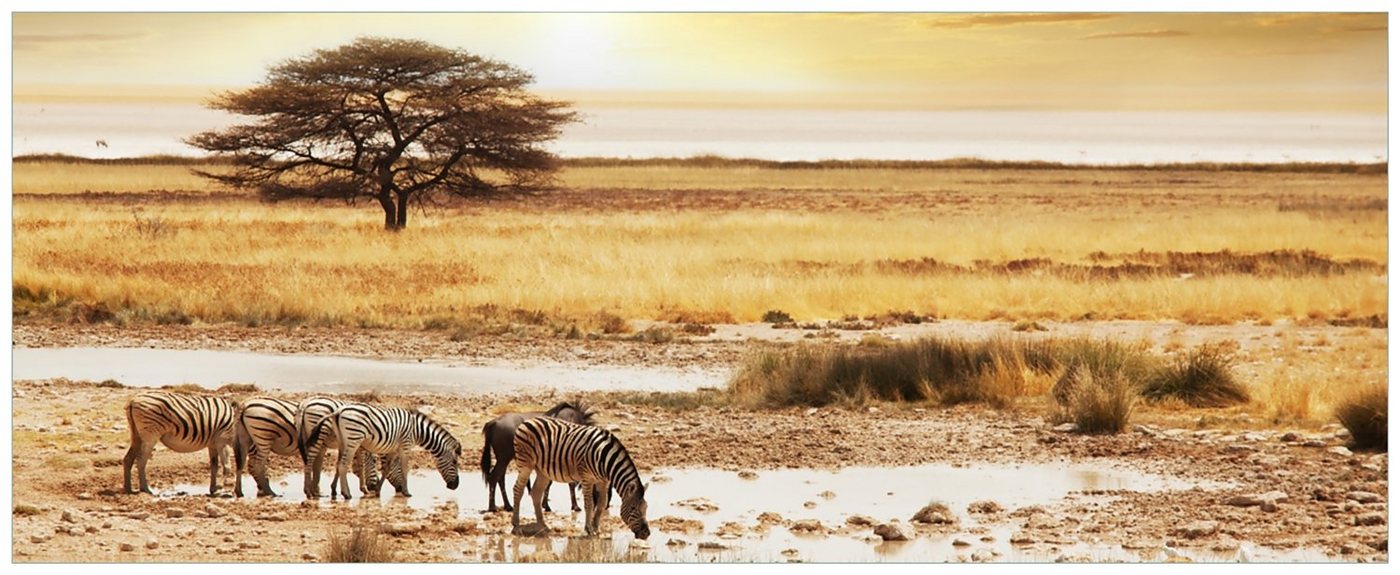 Wallario Acrylglasbild, Safari in Afrika eine Herde Zebras am Wasser, in verschiedenen Ausführungen von Wallario