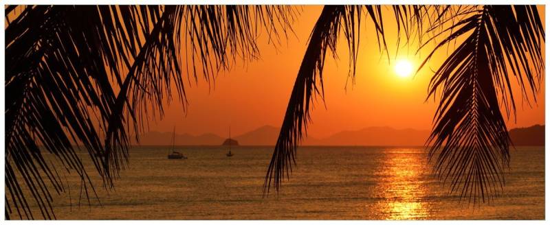 Wallario Acrylglasbild, Sonnenuntergang unter Palmenblättern, in verschiedenen Ausführungen Wallario Acrylglasbild, Sonnenuntergang unter Palmenblättern, in verschiedenen Ausführungen von Wallario