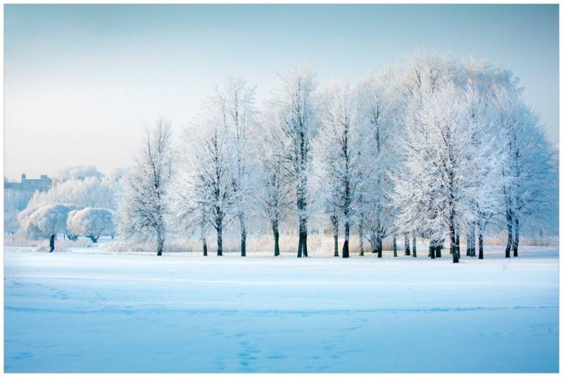 Wallario Acrylglasbild, Verschneite Bäume in einer Winterlandschaft, in verschiedenen Ausführungen von Wallario