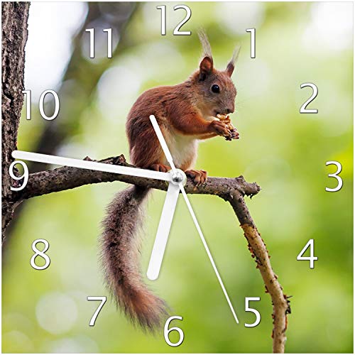 Wallario Design-Wanduhr Eichhörnchen auf einem AST aus Glas, Motiv-Uhr Größe 20 x 20 cm, weiße Zeiger Wallario Design-Wanduhr Eichhörnchen auf einem AST aus Glas, Motiv-Uhr Größe 20 x 20 cm, weiße Zeiger von Wallario