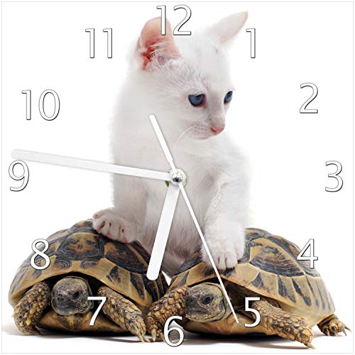 Wallario Design-Wanduhr Katze auf Schildkröten aus Glas, Motiv-Uhr Größe 20 x 20 cm, weiße Zeiger von Wallario