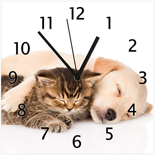 Wallario Design-Wanduhr Katze und Hund in Harmonie - Kuschelnde Tiere aus Glas, Motiv-Uhr Größe 30 x 30 cm, Schwarze Zeiger von Wallario
