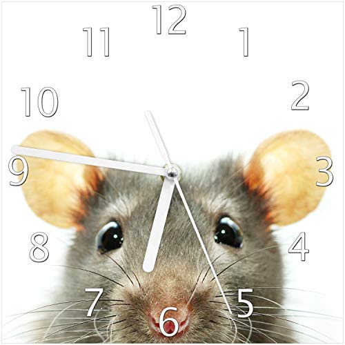Wallario Design-Wanduhr Maus am Tellerrand aus Glas, Motiv-Uhr Größe 20 x 20 cm, weiße Zeiger von Wallario