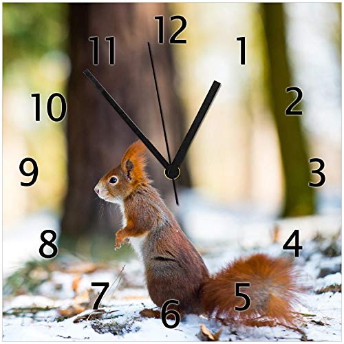 Wallario Design-Wanduhr Neugieriges Eichhörnchen im verschneiten Wald aus Glas, Motiv-Uhr Größe 30 x 30 cm, Schwarze Zeiger von Wallario