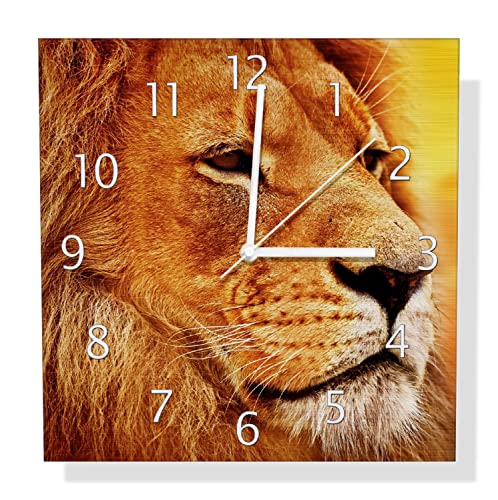 Wallario Design Wanduhr Prächtiger Löwe in der Savanne aus Aluverbund, Alu-Uhr Größe 30 x 30 cm, weiße Zeiger mit Metalloptik von Wallario