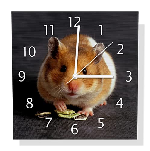 Wallario Design Wanduhr Putziger Hamster mit Nüssen zwischen den Pfoten aus Aluverbund, Alu-Uhr Größe 30 x 30 cm, weiße Zeiger mit Metalloptik von Wallario