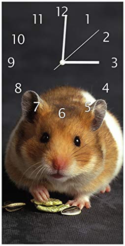 Wallario Design-Wanduhr Putziger Hamster mit Nüssen zwischen den Pfoten aus Glas, Motiv-Uhr Größe 30 x 60 cm, weiße Zeiger von Wallario