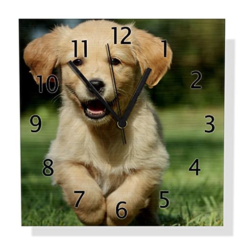 Wallario Design Wanduhr Süßer Hund - Golden Retriever aus Aluverbund, Alu-Uhr Größe 30 x 30 cm, Schwarze Zeiger mit Metalloptik von Wallario
