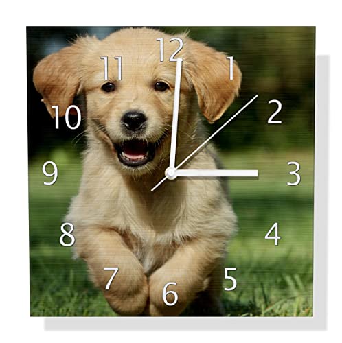 Wallario Design Wanduhr Süßer Hund - Golden Retriever aus Aluverbund, Alu-Uhr Größe 30 x 30 cm, weiße Zeiger mit Metalloptik von Wallario