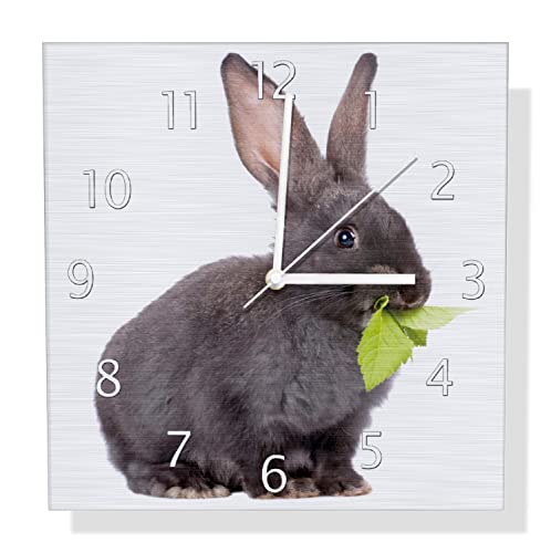Wallario Design Wanduhr Süßes Kaninchen mit Grünzeug beim Futtern aus Aluverbund, Alu-Uhr Größe 30 x 30 cm, weiße Zeiger mit Metalloptik von Wallario