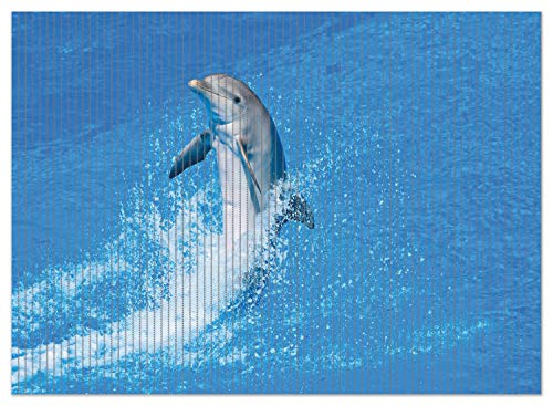 Wallario Duschmatte Antirutschmatte Badmatte Fußmatte Fröhlicher Delfin im blauen Wasser, Größe ca. 90 x 65 cm von Wallario