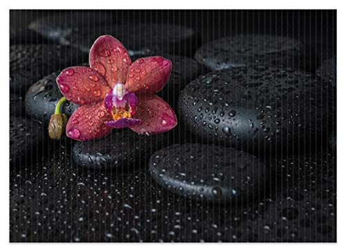 Wallario Duschmatte Antirutschmatte Badmatte Fußmatte Orchideen-Blüte auf schwarzen Steinen, benetzt mit Wasser-Tropfen, Größe ca. 70 x 50 cm von Wallario