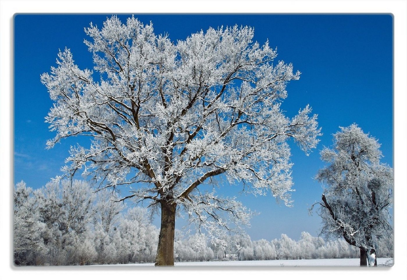 Wallario Frühstücksbrett Schneebedeckter Baum mit blauen Himmel, (inkl. rutschfester Gummifüße 4mm, 1-St), 20x30cm von Wallario