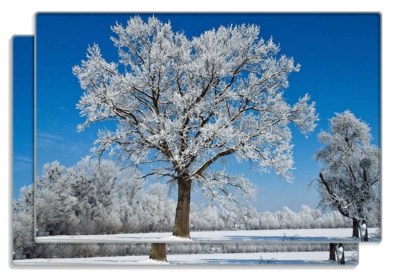 Wallario Frühstücksbrett Schneebedeckter Baum mit blauen Himmel, ESG-Sicherheitsglas, (inkl. rutschfester Gummifüße 4mm, 2-St), 20x30cm von Wallario