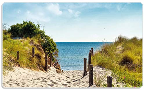 Wallario Frühstücksbrettchen aus Glas, Glasunterlage, Glasbrettchen Auf dem Sandweg zum Strand, Größe 14 x 23 cm, Sicherheitsglas Wallario Frühstücksbrettchen aus Glas, Glasunterlage, Glasbrettchen Auf dem Sandweg zum Strand, Größe 14 x 23 cm, Sicherheitsglas von Wallario