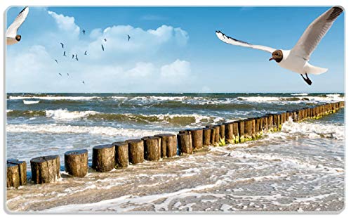 Wallario Frühstücksbrettchen aus Glas, Glasunterlage, Glasbrettchen Fliegende Möwe am Strand, Größe 14 x 23 cm, Sicherheitsglas von Wallario