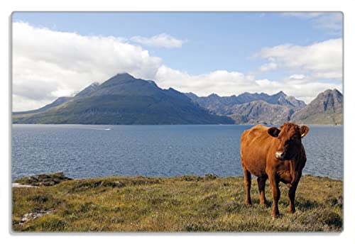Wallario Frühstücksbrettchen aus Glas, Glasunterlage, Glasbrettchen Kuh in den Bergen, Größe 20 x 30 cm, Sicherheitsglas Wallario Frühstücksbrettchen aus Glas, Glasunterlage, Glasbrettchen Kuh in den Bergen, Größe 20 x 30 cm, Sicherheitsglas von Wallario