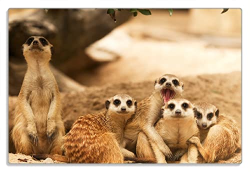 Wallario Frühstücksbrettchen aus Glas, Glasunterlage, Glasbrettchen Niedliche Erdmännchen kuscheln im Sand, Größe 20 x 30 cm, Sicherheitsglas von Wallario