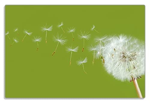 Wallario Frühstücksbrettchen aus Glas, Glasunterlage, Glasbrettchen Pusteblume auf der Wiese mit fliegenden Samen, Größe 20 x 30 cm, Sicherheitsglas Wallario Frühstücksbrettchen aus Glas, Glasunterlage, Glasbrettchen Pusteblume auf der Wiese mit fliegenden Samen, Größe 20 x 30 cm, Sicherheitsglas von Wallario