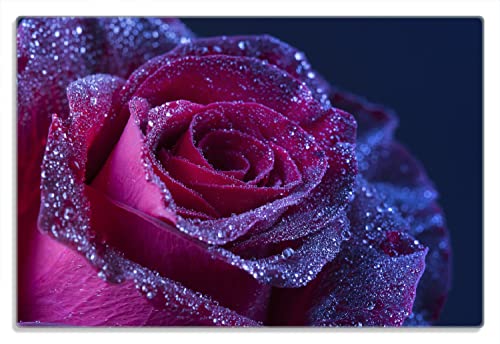 Wallario Frühstücksbrettchen aus Glas, Glasunterlage, Glasbrettchen Rote Rosenblüte im Regen, Größe 20 x 30 cm, Sicherheitsglas Wallario Frühstücksbrettchen aus Glas, Glasunterlage, Glasbrettchen Rote Rosenblüte im Regen, Größe 20 x 30 cm, Sicherheitsglas von Wallario