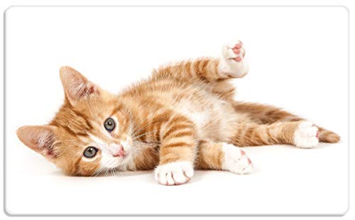 Wallario Frühstücksbrettchen aus Glas, Glasunterlage, Glasbrettchen Süße Katze mit großen Augen - rot weiß getigert, Größe 14 x 23 cm, Sicherheitsglas Wallario Frühstücksbrettchen aus Glas, Glasunterlage, Glasbrettchen Süße Katze mit großen Augen - rot weiß getigert, Größe 14 x 23 cm, Sicherheitsglas von Wallario