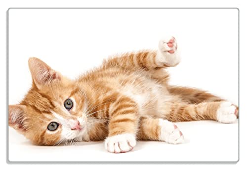 Wallario Frühstücksbrettchen aus Glas, Glasunterlage, Glasbrettchen Süße Katze mit großen Augen - rot weiß getigert, Größe 20 x 30 cm, Sicherheitsglas von Wallario