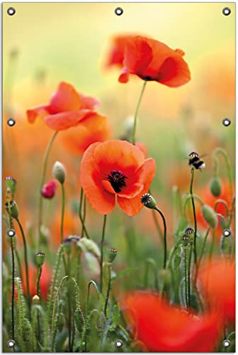 Wallario Outdoor-Poster für Garten oder Balkon Mohnblumenblüten, Motivbanner Größe: ca. 80 x 120 cm, Outdoor-Bild von Wallario