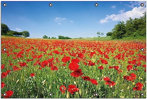 Wallario Outdoor-Poster für Garten oder Balkon Mohnblumenfeld- rote Blumen unter blauem Himmel, Motivbanner Größe: ca. 80 x 120 cm, Outdoor-Bild von Wallario