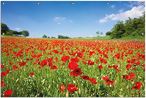 Wallario Outdoor-Poster für Garten oder Balkon Mohnblumenfeld- rote Blumen unter blauem Himmel, Motivbanner Größe: ca. 120 x 180 cm, Outdoor-Bild von Wallario