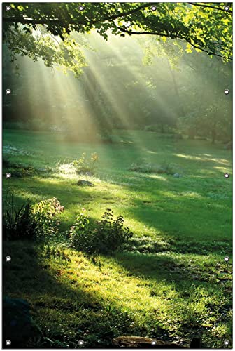 Wallario Outdoor-Poster für Garten oder Balkon Sonnenstrahlen im Wald, Motivbanner Größe: ca. 120 x 180 cm, Outdoor-Bild von Wallario