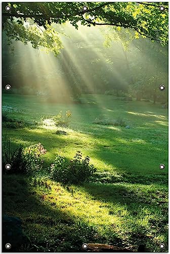 Wallario Outdoor-Poster für Garten oder Balkon Sonnenstrahlen im Wald, Motivbanner Größe: ca. 80 x 120 cm, Outdoor-Bild von Wallario