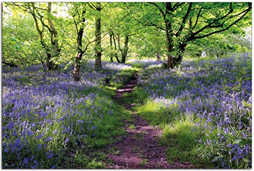 Wallario Garten-Poster Outdoor-Poster - Blaues Hasenglöckchen im Wald in Premiumqualität, Größe: 61 x 91,5 cm, für den Außeneinsatz geeignet von Wallario