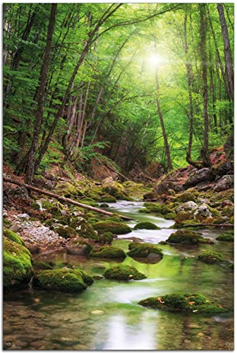 Wallario Garten-Poster Outdoor-Poster - Fluss im Wald in Premiumqualität, Größe: 61 x 91,5 cm, für den Außeneinsatz geeignet von Wallario