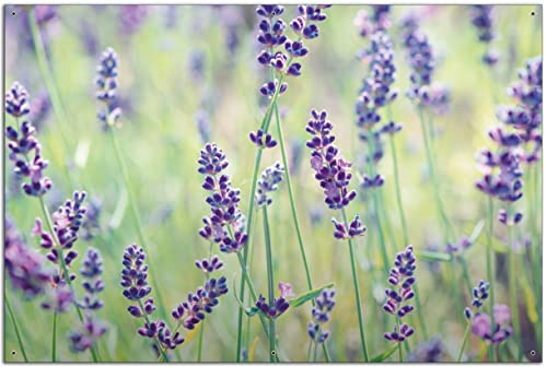 Wallario Garten-Poster Outdoor-Poster - Lila Blumenfreude - Violette Pflanzen auf der Wiese in Premiumqualität, Größe: 61 x 91,5 cm, für den Außeneinsatz geeignet von Wallario