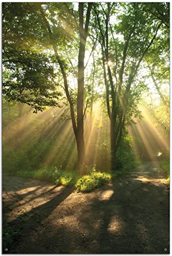 Wallario Outdoor-Poster für Garten oder Balkon Weggabelung im Sonnenschein, Motivbanner Größe: ca. 60 x 90 cm, Outdoor-Bild von Wallario