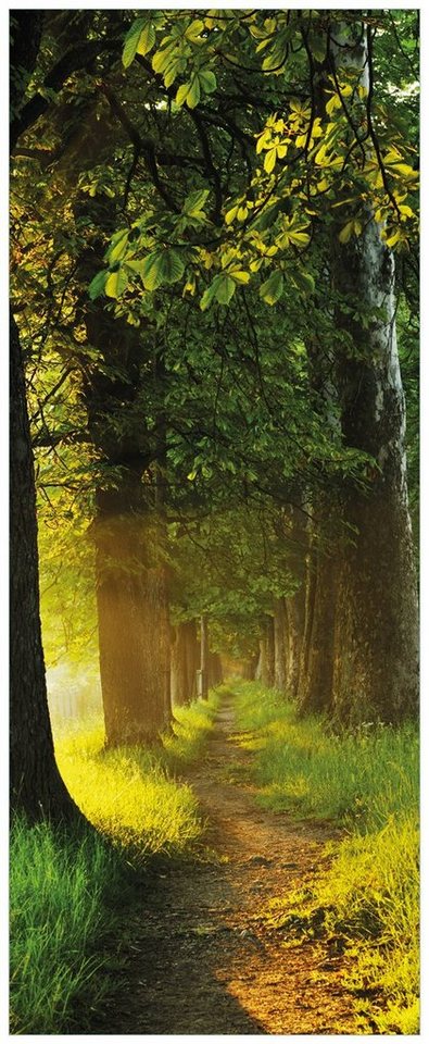 Wallario Glasbild, Allee bei Sonnenuntergang, in verschiedenen Ausführungen von Wallario