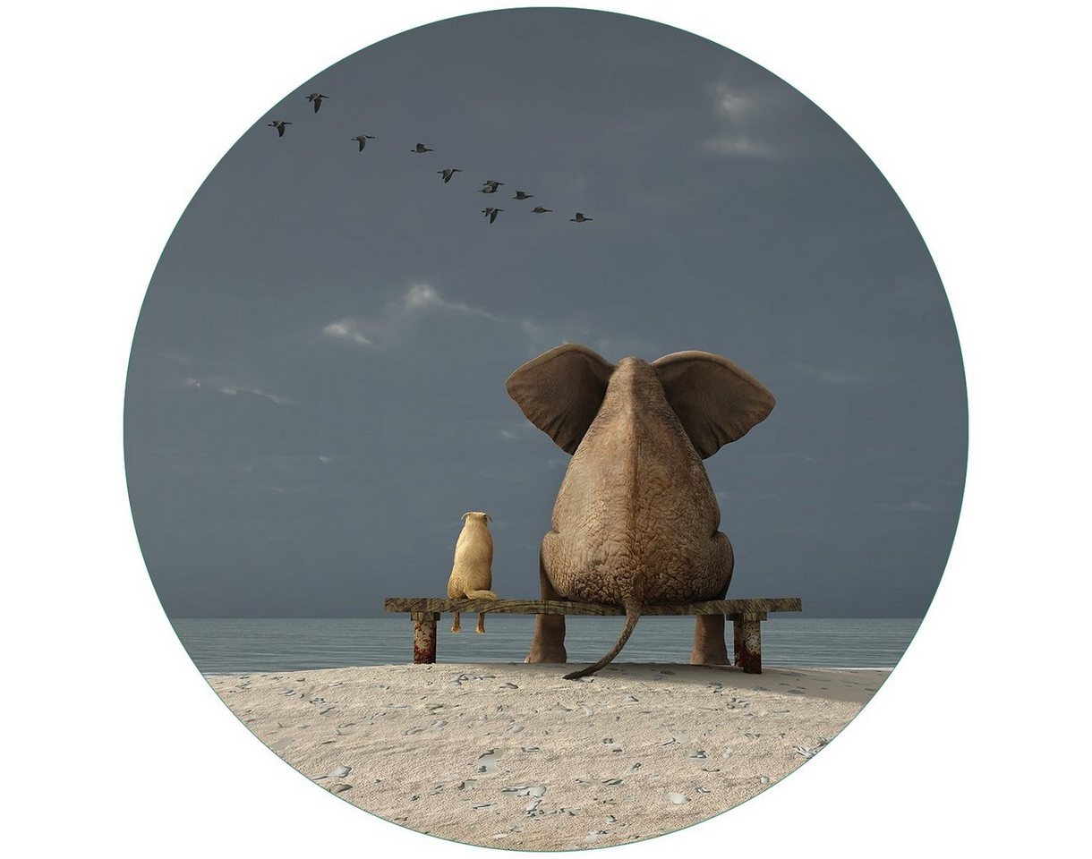 Wallario Glasbild, Elefant und Hund sitzen auf einer Bank, in verschiedenen Ausführungen von Wallario