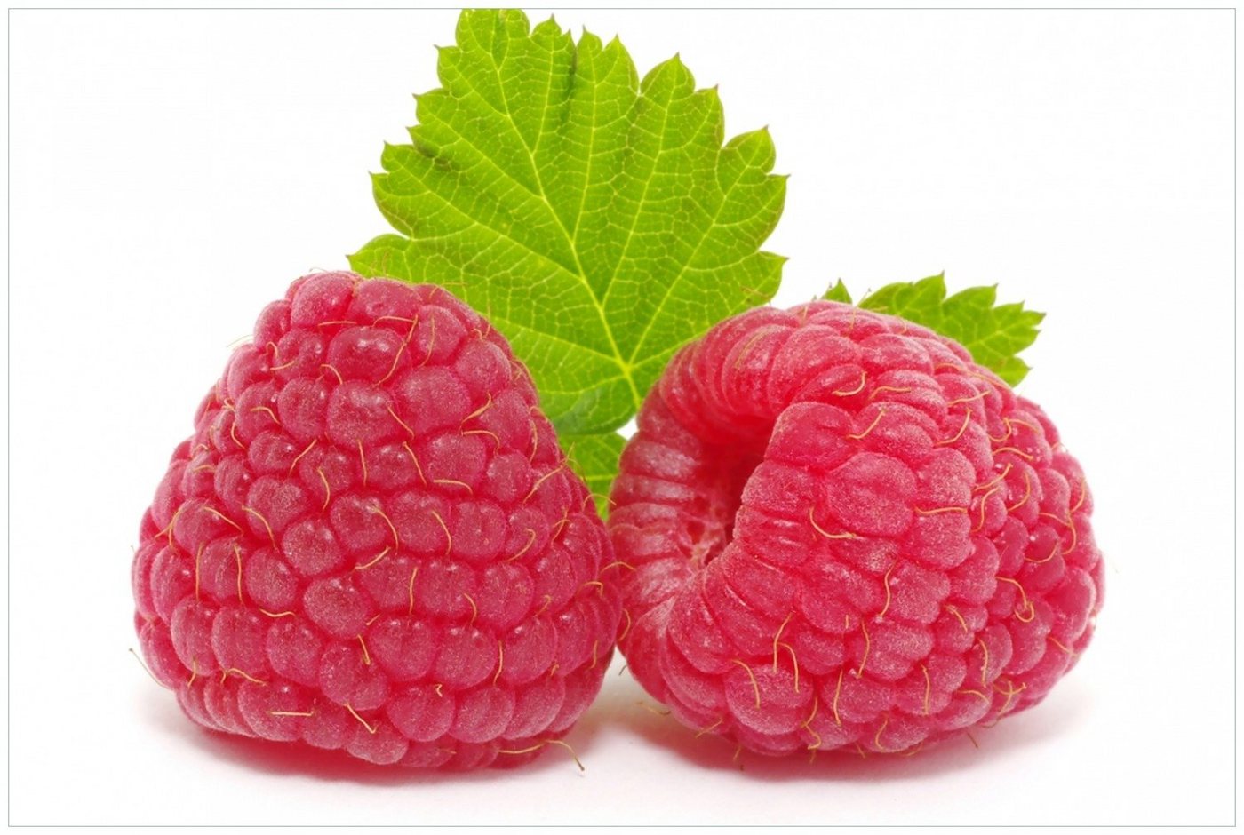 Wallario Glasbild, Himbeeren mit grünem Blatt auf weißem Grund, in verschiedenen Ausführungen von Wallario