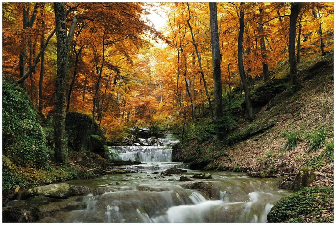 Wallario Glasbild, Kleiner Bach über Steine im Herbstwald, in verschiedenen Ausführungen von Wallario