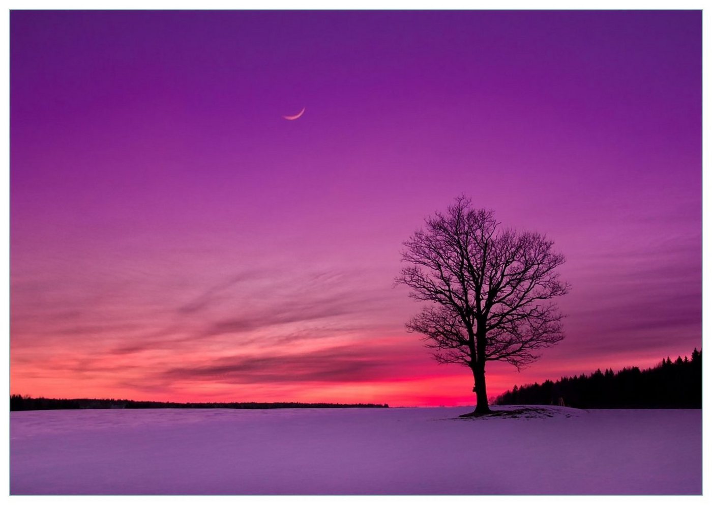 Wallario Glasbild, Mond und Baum am Abend bei Schnee, in verschiedenen Ausführungen von Wallario