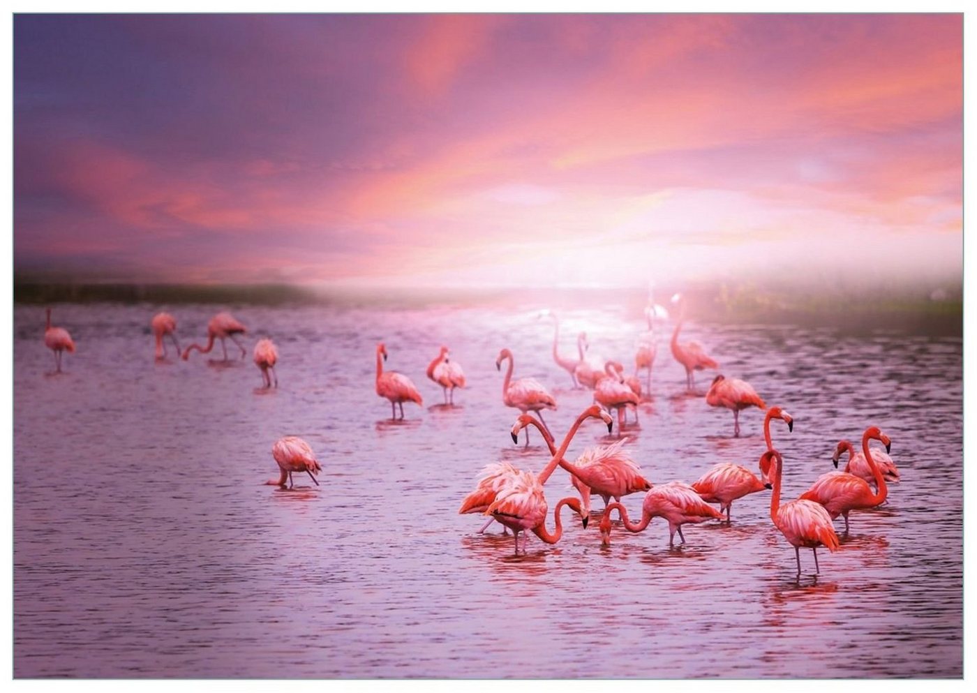 Wallario Glasbild, Rosa Flamingos bei Sonnenuntergang, in verschiedenen Ausführungen von Wallario