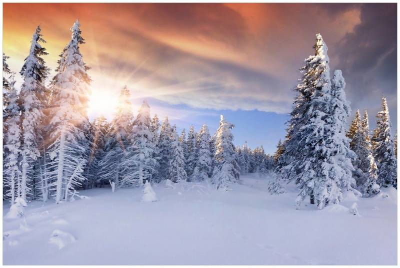 Wallario Glasbild, Sonnenaufgang über einen Winterwald, in verschiedenen Ausführungen von Wallario