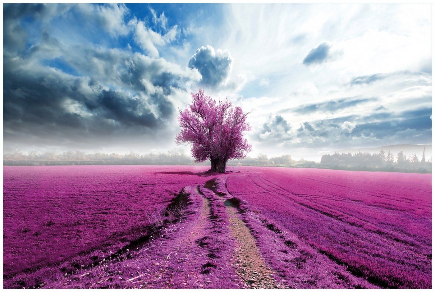 Wallario Glasbild, Surreales Blumenfeld lila Blumen auf dem Feld, in verschiedenen Ausführungen von Wallario