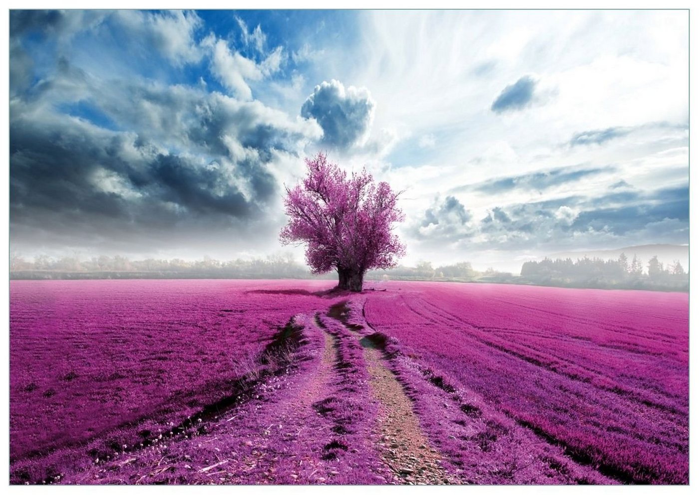 Wallario Glasbild, Surreales Blumenfeld lila Blumen auf dem Feld, in verschiedenen Ausführungen von Wallario