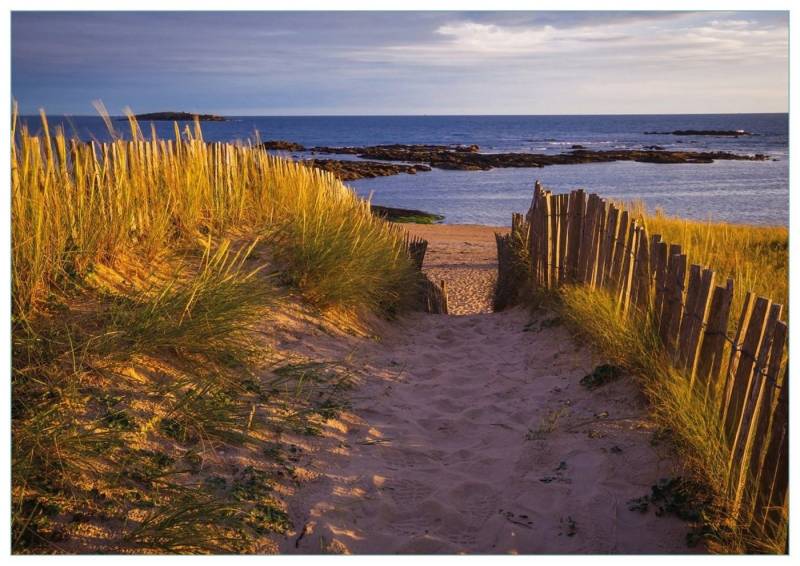 Wallario Glasbild, Weg durch die Dünen zum Meer an der Küste, in verschiedenen Ausführungen Wallario Glasbild, Weg durch die Dünen zum Meer an der Küste, in verschiedenen Ausführungen von Wallario