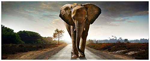 Wallario Glasbild Elefant bei Sonnenaufgang in Afrika - 50 x 125 cm Wandbilder Glas in Premium-Qualität: Brillante Farben, freischwebende Optik von Wallario