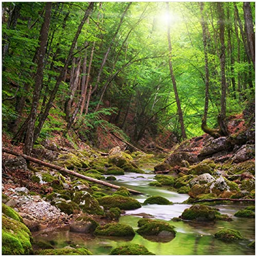 Wallario Glasbild Fluss im Wald - 30 x 30 cm Wandbilder Glas in Premium-Qualität: Brillante Farben, freischwebende Optik Wallario Glasbild Fluss im Wald - 30 x 30 cm Wandbilder Glas in Premium-Qualität: Brillante Farben, freischwebende Optik von Wallario